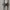 Faro Concealed Thermostatic 2-Way Shower System with 250mm Rainfall Shower Head & Handheld Shower – Wall Mounted, WRAS Approved