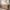 Saqu Terra bathroom furniture incl. double gloss white ceramic washbasin 120x46x66cm Denver oak