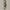 Kensington Polished Nickel 2-Way Thermostatic Exposed Shower System with Neoperl Aerator