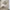 Lanesborough 800mm Wall Hung Vanity Unit with Stone Resin Basin – Concrete Grey Bathroom Cabinet with Soft Close Doors & Overflow
